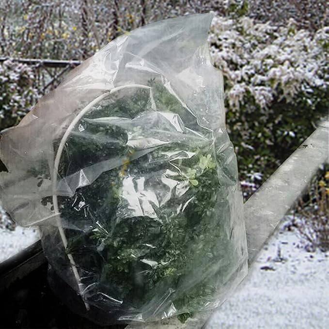 ANPHSIN 6 Pcs Winter Plant Film Cover with Drawstring - 35" x 59" Plastic Plant Cover Freeze Protection Transparent Waterproof Plant Shelter Bag for Outdoors Garden Plants Shrubs Sapling Crops