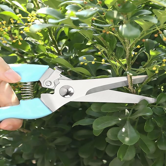 MEPEREZ Premium Garden Shears, Pruning Scissors Gardening Tools, Pruners For Flower, Bushes, Rose And Fruit Tree, Use For Florist, Yard And Orchard the Plant Clippers, Sharp White Steel Anvil Snips
