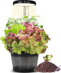 Indoor Clay pellets hydroponic Gardening System with 20-W LED Plant Grow Light.The Translucent hydroponic Growing System for Hydroponic Herbs, Vegetables, Lettuce Harvest on Countertop