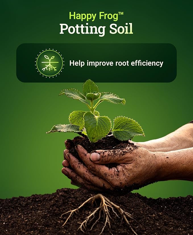 FoxFarm Happy Frog Potting Soil - Ready-to-Use Amended Container Blend with Soil Microbes, Earthworm Castings, Bat Guano, and Aged Forest Products for Indoor & Outdoor Plants - 12 Quart