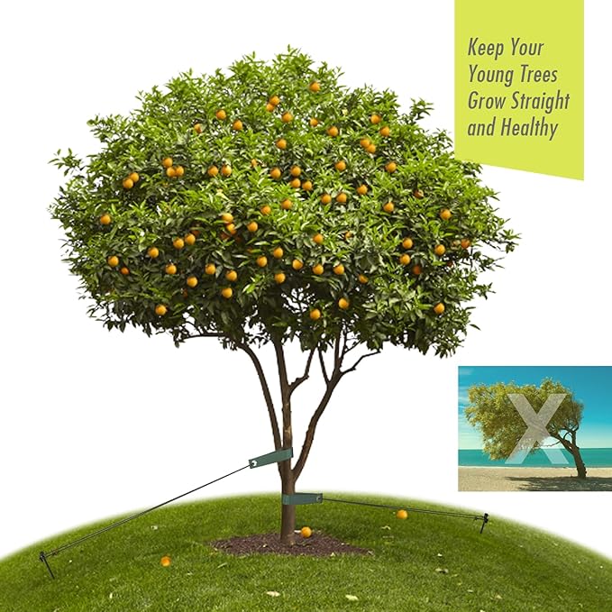 Heavy Duty Tree Stake Kits, 15.75 Inch Steel Tree Stakes and Supports for Young Tree Anti Strong Wind, Leaning Tree Anchor Straightening Kit with 6PCS Steel Stakes, 13.12 Feet Rope and Tree Straps