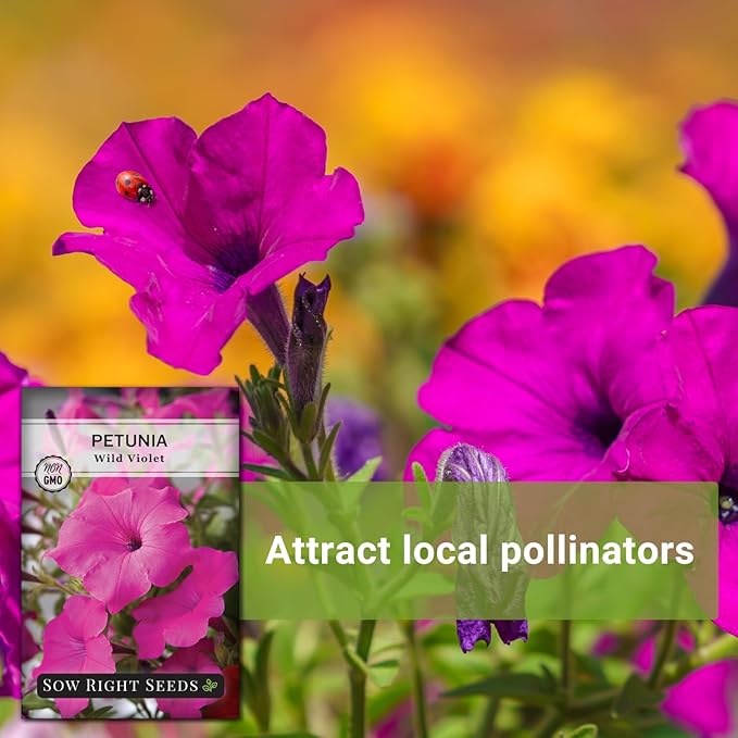 Sow Right Seeds - Petunia Wild Violet Flower Seed for Planting - Beautiful Flowers to Plant in Your Home Garden - Non-GMO Heirloom Seeds - Perfect for Outdoor Hanging Baskets - Great Gardening Gift