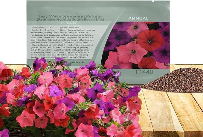 Outsidepride South Beach Mix Easy Wave Petunia Seeds - 15 Pcs. Annual, Compact & Spreading Flower Seeds for Planting Low Growing Vibrant Blooms, Ideal for Garden Beds, Baskets & Container Displays