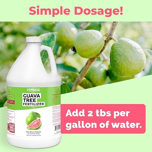 Guava Tree Fertilizer – Liquid Plant Food for More Fruit, Better Flowering & Stronger Root Development, 1 Gallon