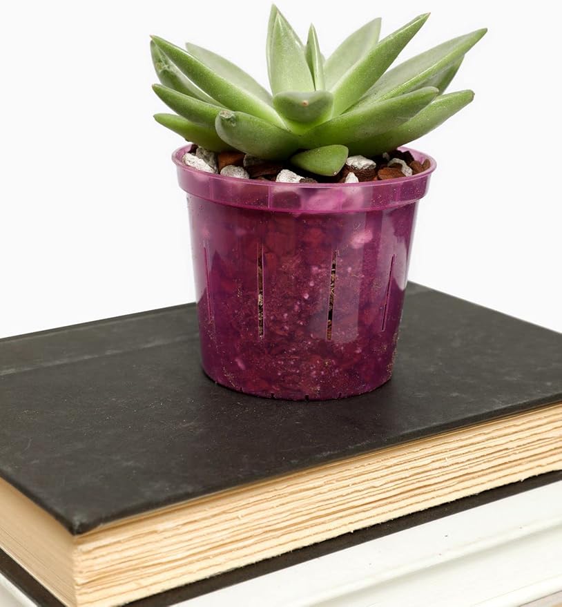 rePotme Cactus and Succulent Potting Soil Mix - Imperial Blend (Standard Bag)