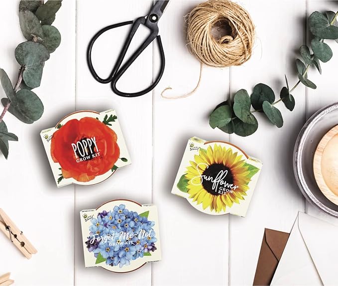 BUZZY Seeds Mini Terracotta Grow Pots Daydream Collection, Assorted 6-Pack Flower and Plant Seed Starter Kit, Indoor Gardening Gift, Holiday Present, Valentine Exchange