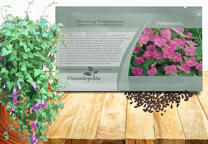 Outsidepride Rose Asarina Climbing Snapdragon Seeds - 100 Pcs Perennial Flower Seeds for Planting, Easy to Grow Climbing Vines w/Attractive Flowers for Containers, Trellises, & Ground Cover