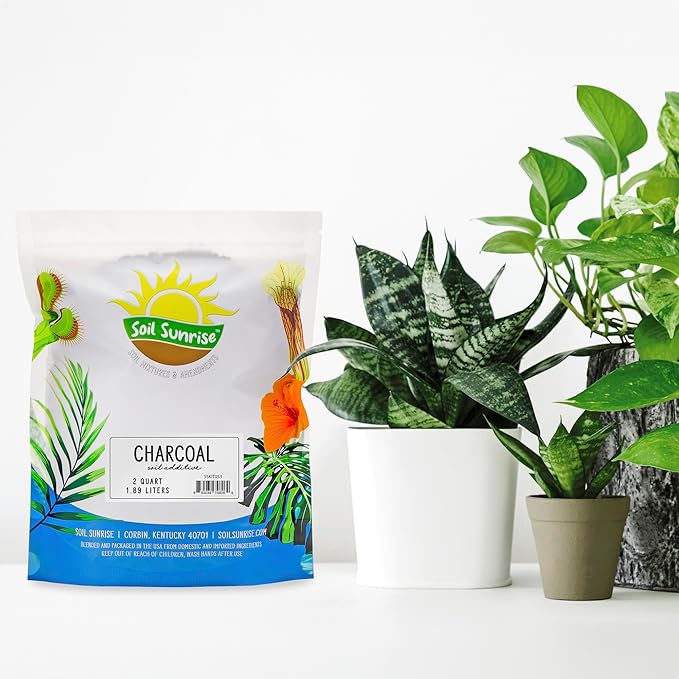 Soil Sunrise Horticultural Charcoal for Indoor Plants (2 Quarts) Hardwood Soil Additive for Orchids, Terrariums, and Gardening