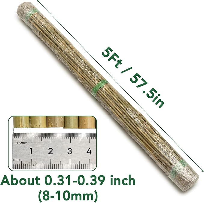 65 Pcs Bamboo Plant Stakes 5 Feet, Oltara Natural Bamboo Sticks Garden Stakes for Climbing Plants Support, Potted Plants, Vegetables, Tomatoes, Beans, Flowers, Trees