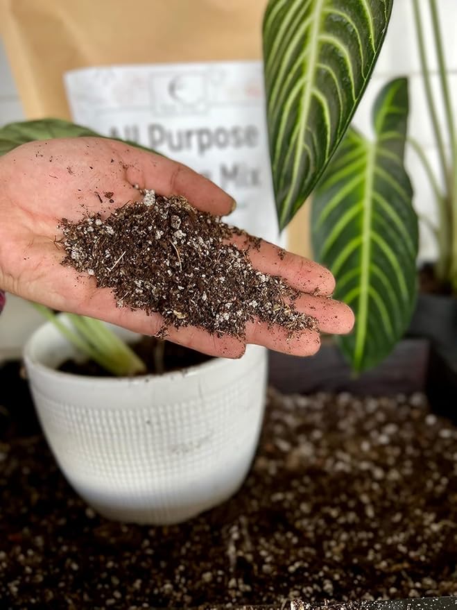 Elm Dirt Potting Soil Indoor & Outdoor Plants - All Purpose Potting Mix Ancient Soil for House Plants | Premium Nutrition for Garden Soil - All Purpose Formula for Vegetables, Flowers and Herbs(5 lbs)