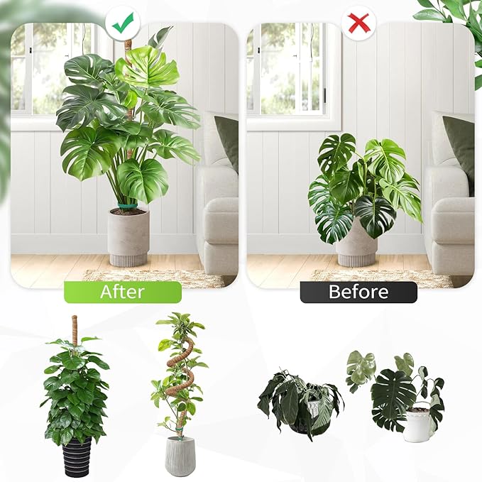 Monstera Plant Support 2 Pack 63 Inch Moss Pole Bendable Monstera Support for Climbing Plants Extra Large Handmade Moss Poles Aluminum Plant Support Stakes Indoor Grow Upwards