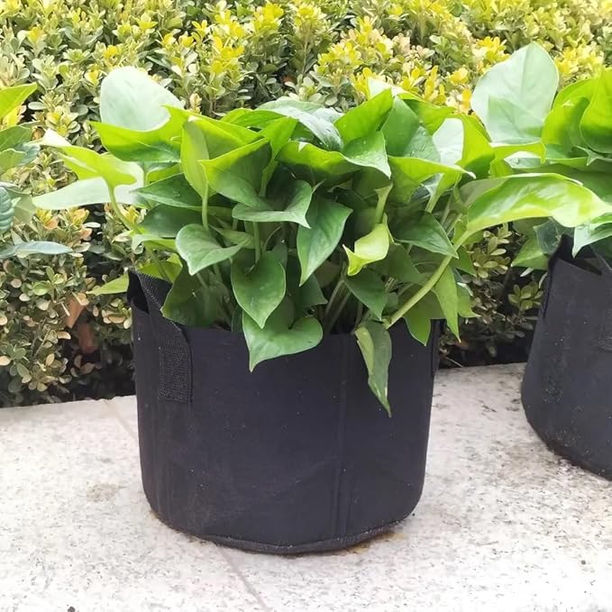 Seed Starting Soil Mix (24 Qts) - Coco Coir 650gm Bricks (2-Pack) + Perlite Bliss + 3 Gallon Grow Bags - Seed Starter Soil for Indoor Plants, Outdoor Plants, Seedlings - Organic Coco Coir Perlite Mix