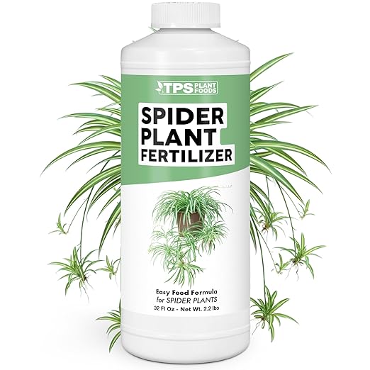 Spider Plant Fertilizer – Liquid Plant Food for Longer Runners, Greener Leaves & Healthy New Growth, 32 oz