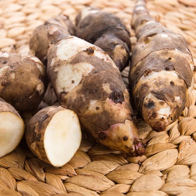 5 Jerusalem Artichoke Tubers, Sunchoke for Planting, Hardy Perennial Vegetable for Home Garden