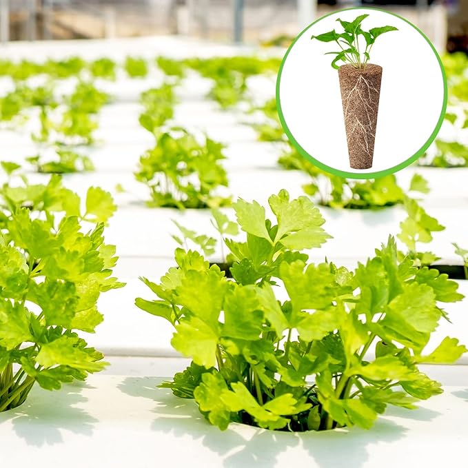 Chumia 200 Pcs Hydroponics Grow Sponges Replacement Growth Sponges Root Plugs Pods Kit for Indoor Hydroponic Garden Patio Lawn Plant Growth System Seed Starting Accessories