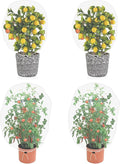 Garden Mesh Netting for Plants, 4 Pack Insect Bird Barrier Netting Mesh with Drawstring, 3.3x4.9 FT Garden Bug Netting Plant Cover for Protect Fruit Tree Vegetable Flowe