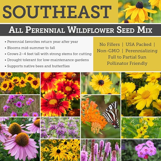 Willard & May Southeast All Perennial Wildflower Seed Mix, 25,000+ Flower Seeds, 15 Varieties, Pollinator Flowers, Full Sun, Easy Direct Sow Bulk Seeds, Plant in Spring or Fall (1 Ounce)