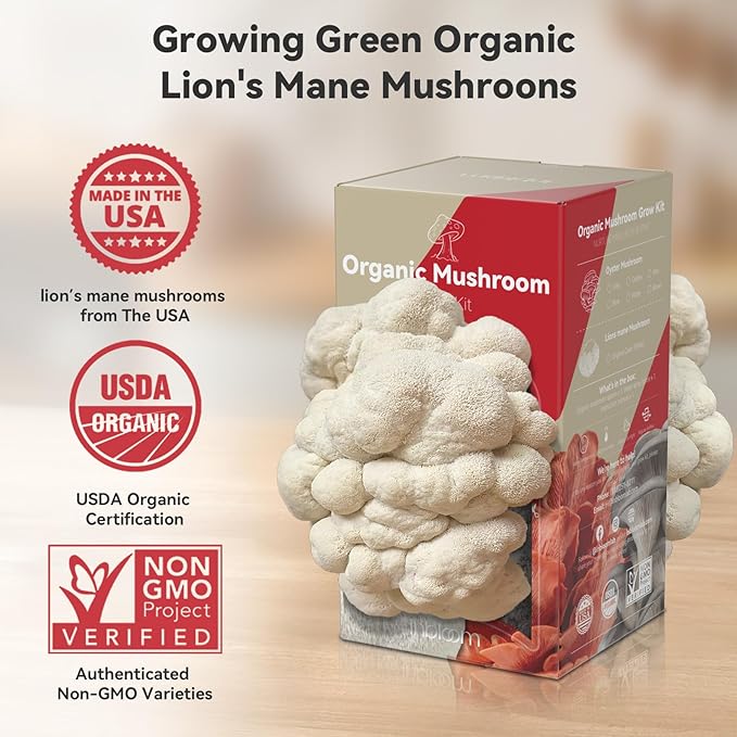 inbloom Organic Lion's Mane Mushroom Growing Kit with Spray, Harvest Fresh Mushrooms at Home, Beginner Friendly & Easy to Use, Unique Gardening Gift for Holiday, Handmade in New Jersey, USA