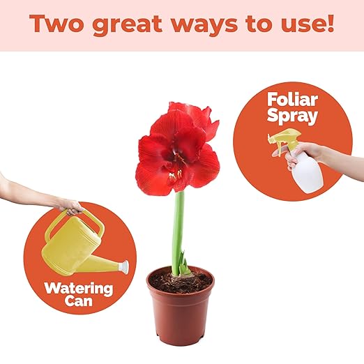 Amaryllis Fertilizer – Liquid Plant Food for Bigger Blooms, Stronger Bulb Development & Vibrant Flower Color, 8 oz