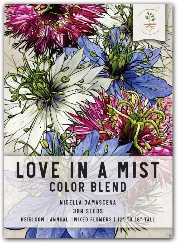 Seed Needs, Mixture of Love in A Mist Seeds - 300 Heirloom Seeds for Planting Nigella Jewels - Colorful Blooms to Attract Pollinators to a Butterfly Garden (1 Pack)