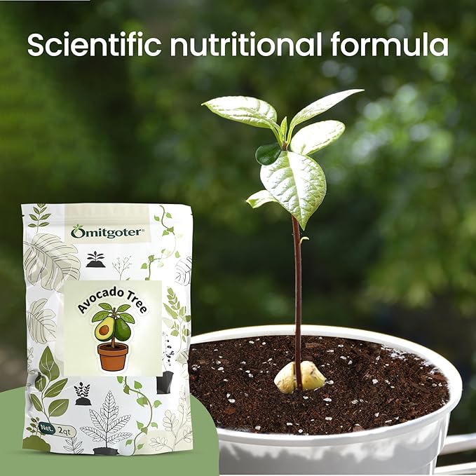 Avocado Soil 2qt, 100% Natural Organic Potting Soil for All-Stage Avocado Tree Growth