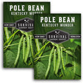 Survival Garden Seeds - Kentucky Wonder Pole Bean Seed for Planting - 2 Packets with Instructions to Plant and Grow Green Snap Beans in Your Home Vegetable Garden - Non-GMO Heirloom Variety