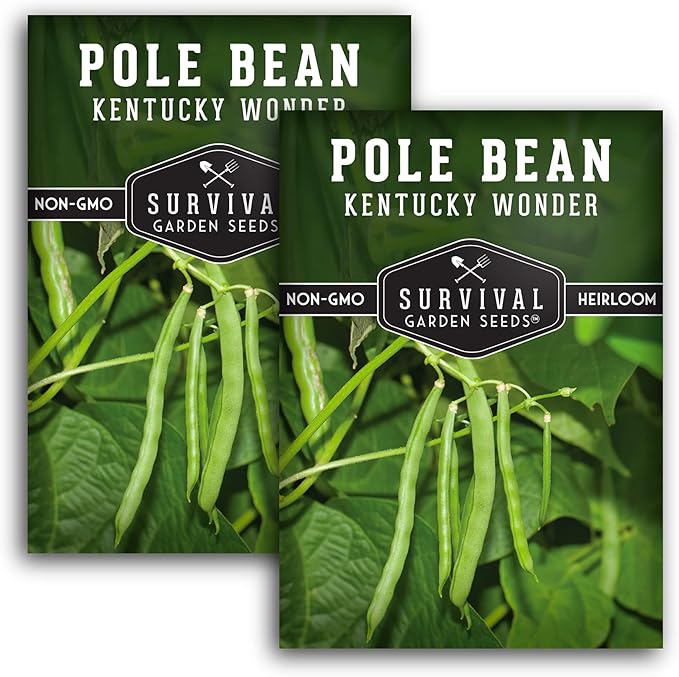 Survival Garden Seeds - Kentucky Wonder Pole Bean Seed for Planting - 2 Packets with Instructions to Plant and Grow Green Snap Beans in Your Home Vegetable Garden - Non-GMO Heirloom Variety