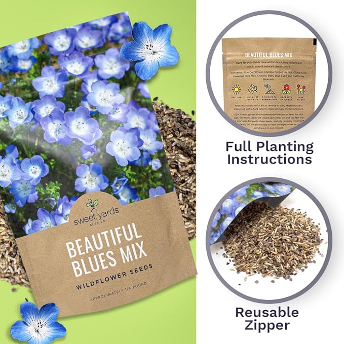 All Blues Wildflower Seeds - Bulk 1/4 Pound Bag - Over 30,000 PureAnnual and Perennial Flower Seeds