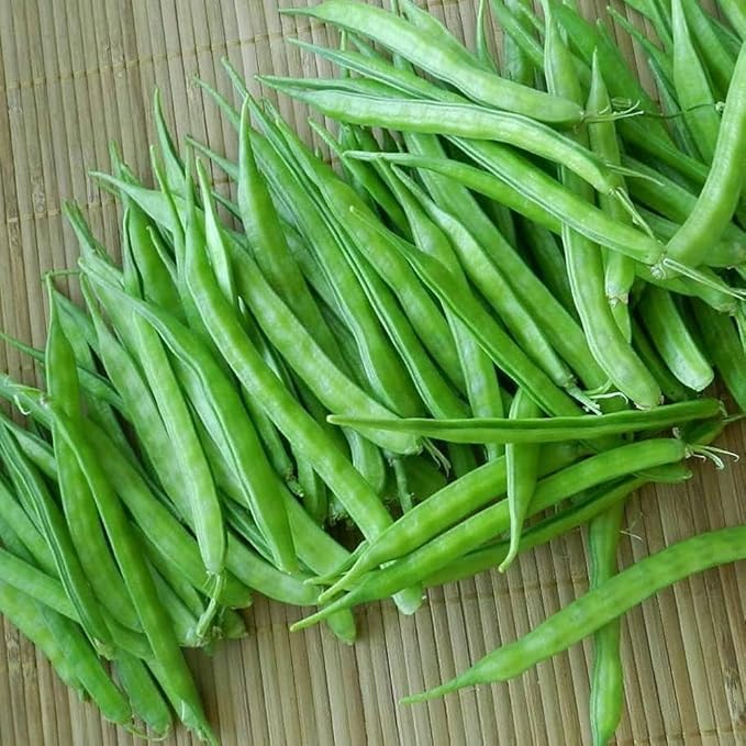 100+ Pcs Indian Cluster Bean Seeds, Non-GMO Vegetable Seeds for Planting, High Germination Guar Seeds for Home Garden, Backyard, Outdoor Grow Bags or Pots