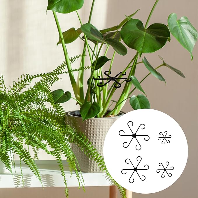 4pcs Plant Stem Supports, Plastic Houseplant Climbing Holders Stabilizer Reusable Small Climbers Flower Plant Stakes Trellis Stem Hook Growth Accessories for Indoor Monstera (Black)