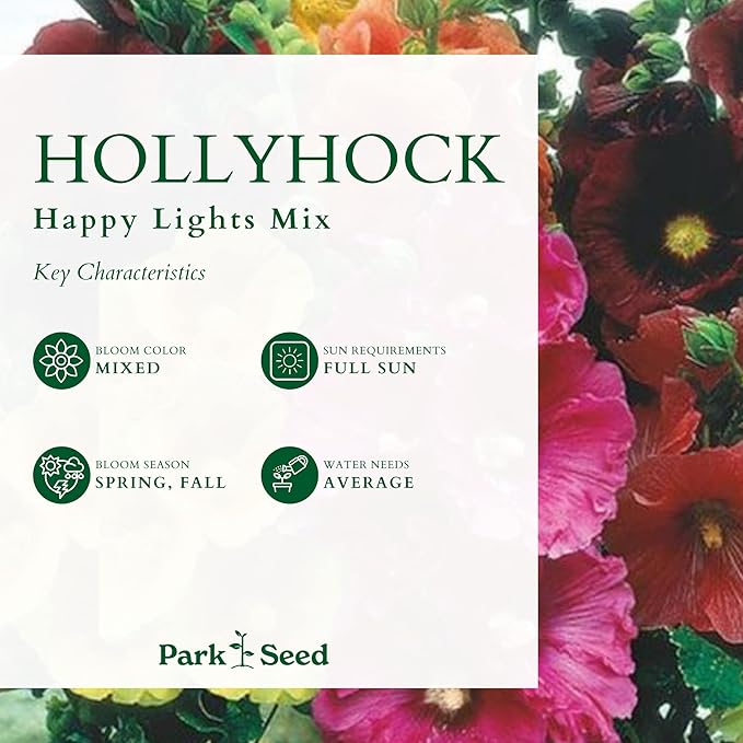 Park Seed Happy Lights Hollyhock Flower Seeds – Vibrant Single Blooms, Rust-Resistant Mix, Tall Garden Border Plant, Easy to Grow in Full Sun, Summer Color Variety – Pack of 25