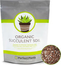 All Natural Succulent and Cactus Soil Mix by Perfect Plants | Made in the USA | 4 Quarts for All Succulent Varieties | Formulated for Proper Drainage