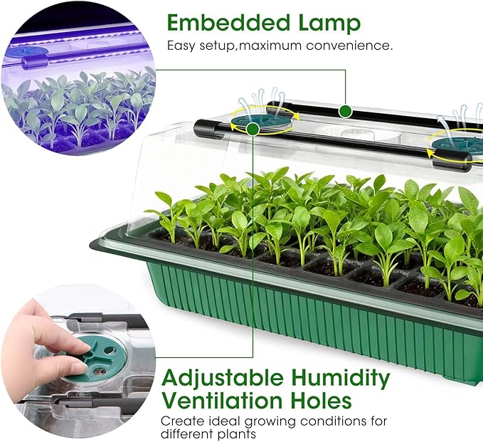 MQUPIN 80-Cell Seed Starter Tray with Grow Light, 2-Pack Adjustable Brightness Seed Starter Kit with Humidity Dome,Smart Timer,Watering Sprayer,Seeder,Plant Germination Kit for Seeds Growing