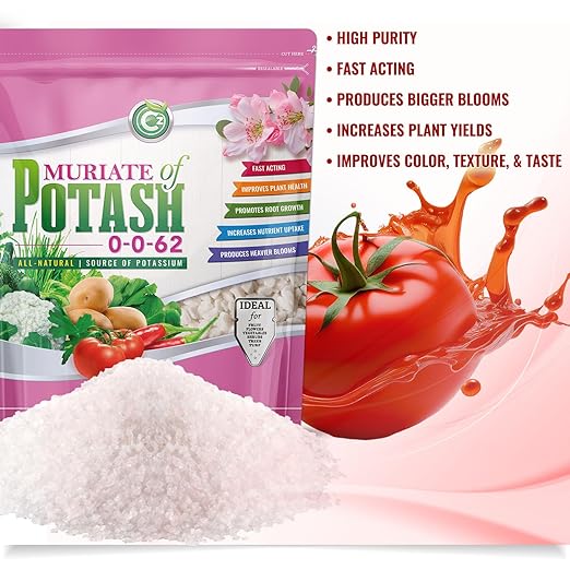 Muriate of Potash 0-0-62 Fertilizer Made in USA - MOP Potassium Plant Food for Indoor/Outdoor Plants, Flower Gardens, Fruit and Vegetable Gardens, Holistic Herbs, Trees and Green Lawns!
