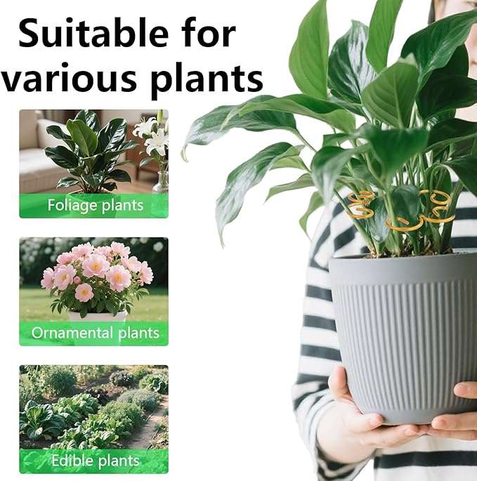 3 Pcs Monstera Plant Grapple Support, Heart Shaped Plant Support Stakes Stem Durable Stabilizer Grapple Holder for Outdoor and Indoor Planting Flowers Thriving Growth
