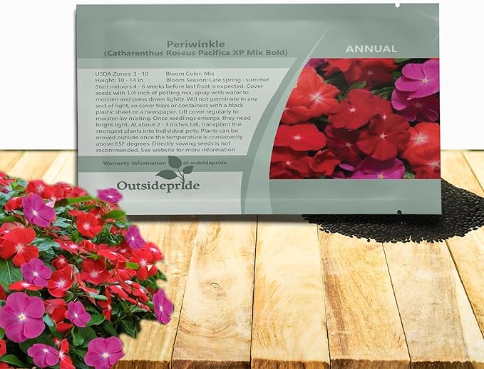 Outsidepride Pacifica XP Bold Mix Periwinkle Seeds for Planting – 100 Pcs Annual, Fast-Blooming, Heat & Drought Tolerant Vinca Flower Seeds with Vibrant Colors for Gardens, Beds & Containers