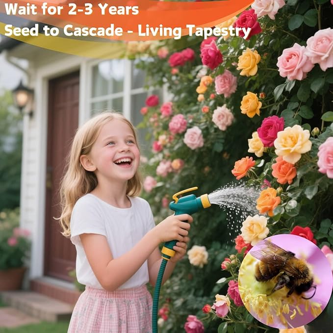1000+ Climbing Rose Seeds Mixed 9 Color - Non-GMO Perennial Vine Flower for Garden Decor, Arch Fence Trellis, Easy to Plant Outdoor Blooming Seeds for DIY Gardeners, Home Landscaping