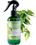 Ready-to-Use Philodendron Foliar Mist by Perfect Plants | Indoor House Plant Food for Foliage Growth | Balanced Liquid Nutrient Blend (8 fl oz)