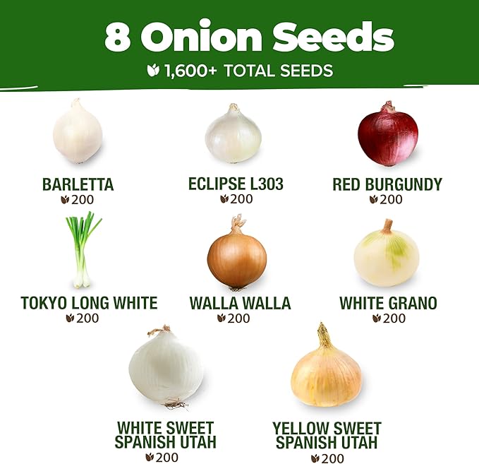 HOME GROWN 𝗨𝗦𝗔 𝗣𝗥𝗘𝗠𝗜𝗨𝗠 55 Vegetable Seeds Pack 28,000 & HOME GROWN 𝗨𝗦𝗔 𝗣𝗥𝗘𝗠𝗜𝗨𝗠 8 Onion Seeds for Planting – 1,600 Heirloom 𝗡𝗢𝗡-𝗚𝗠𝗢