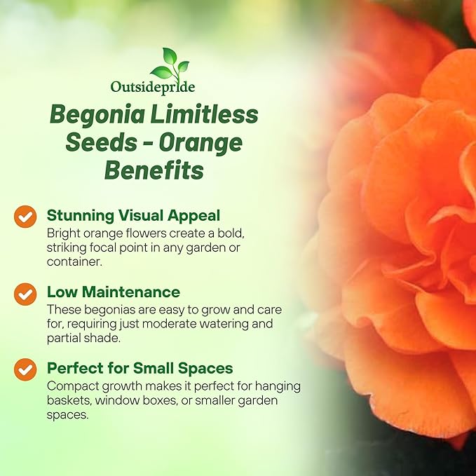 Outsidepride Orange Limitless Begonia Seeds for Planting - 25 Pcs Perennial Flower Seeds with Large Blooms, Arching & Pendulous Growth Habit, for Containers, Hanging Baskets, or Landscape Plantings