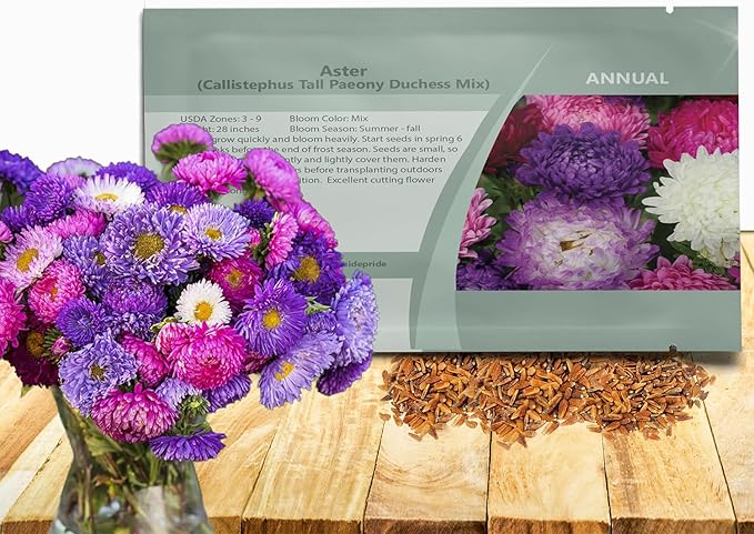 Outsidepride Paeony Aster Seeds - 1,000 Pcs Annual, Hardy & Pollinator Friendly Flower Seeds for Planting Vibrant Double Incurved Mix Petals, Ideal for Meadows & Aesthetic Gardens