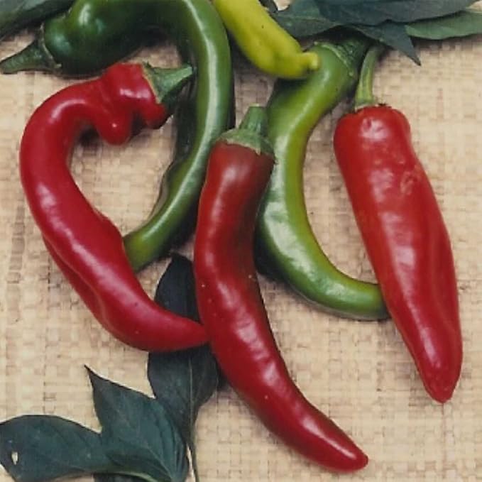 Anaheim Chili Hot Pepper Garden Seeds - 1 Gram Packet - Non-GMO, Heirloom Vegetable Gardening Seeds
