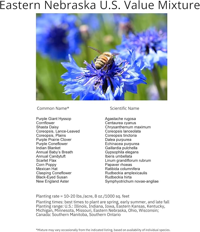 Eastern Nebraska Bulk Perennial Wildflower Seed Mix 1lb Covers 2,000sq-ft - Attract Pollinators, Multi-Color Blooms - Midwest US Species Plant in Spring/Fall - Earth-Friendly Packaging (1 Pound)