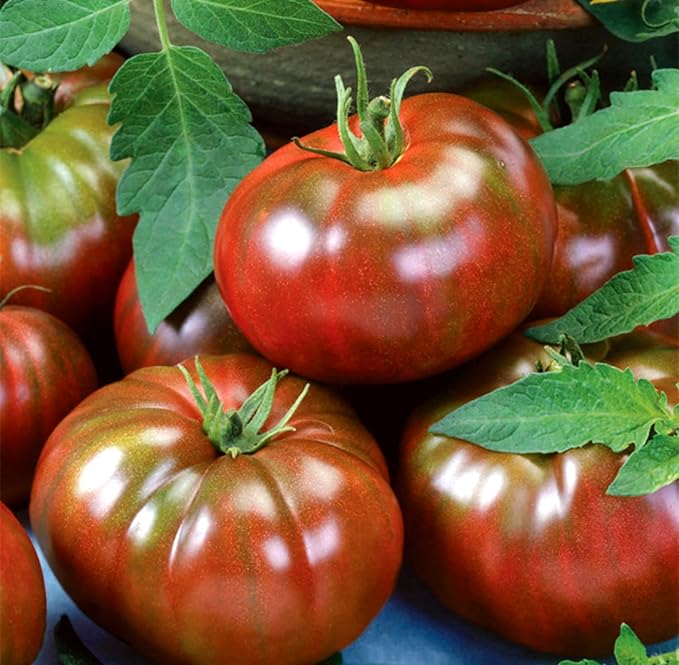 Seeds Black Elephant Tomato - Heirloom Vegetable - GMO Free