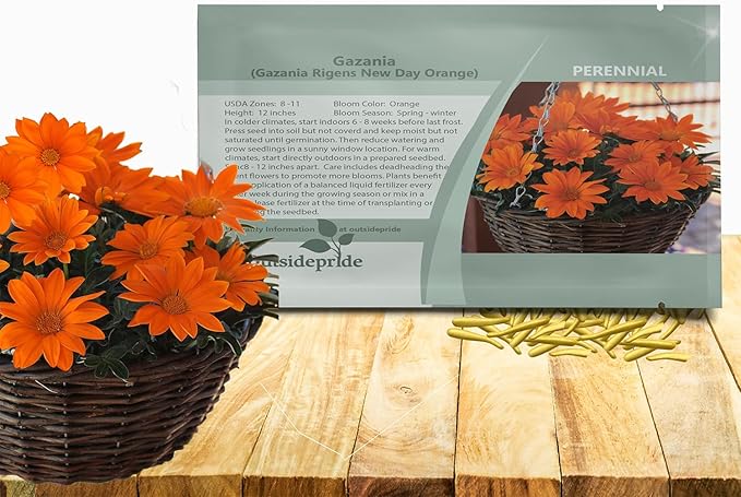 Outsidepride New Day Orange Gazania Seeds for Planting – 50 Pcs Perennial, Low-Maintenance, Drought-Tolerant Ground Cover Seeds for Vibrant Summer & Fall Flowers, Great for Outdoor Gardens