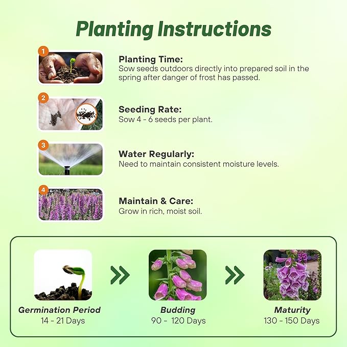 Outsidepride Digitalis Purpurea Dalmatian Purple Foxglove Seeds – 25 Pcs Perennial, Prolific, Tall Growing Flower Seeds with Pollinator-Friendly Blooms for Shaded Gardens & Outdoor Landscapes