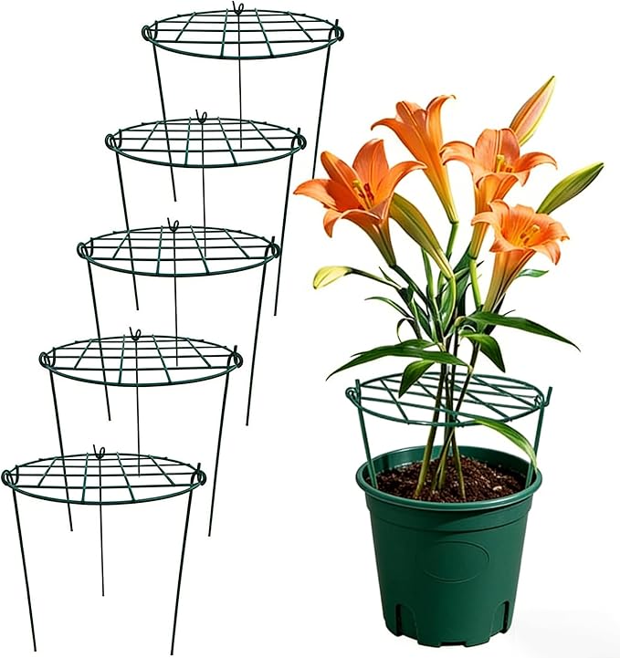 MTB Supply 5 Pack 16 x 24 inch Peony Cages,Grow Through Plant Support Stakes, Flower Support Hoops Heavy Plants Brace Rings