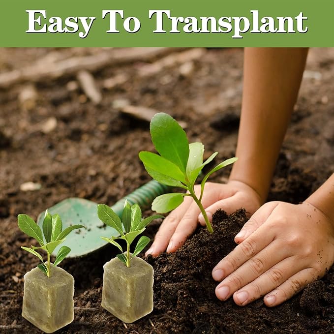 400Pcs 1inch Rockwool Cubes for Hydroponic Rockwool Grow Cubes Starter Plugs for Seed Starter Soilless Cultivation Hydroponics, Soilless Culture Plant Propagation, Cuttings