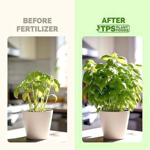 Basil Fertilizer – Liquid Plant Food for More Leaves, Fuller Plants & Fast Regrowth, 32 oz
