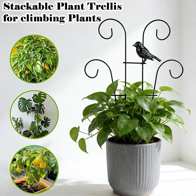 14.2 inch Small Trellis for Potted Plants, 2 Pack Rustproof Metal Plant Trellis for Climbing Plants Indoor, Sturdy Houseplant Support with Bird Ornament for Ivy, Pothos, Hoya, Vine (2 Pack)
